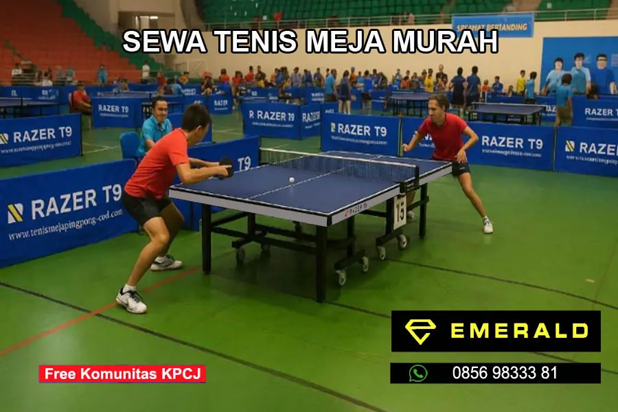 Rental sewa tenis meja pingpong murah