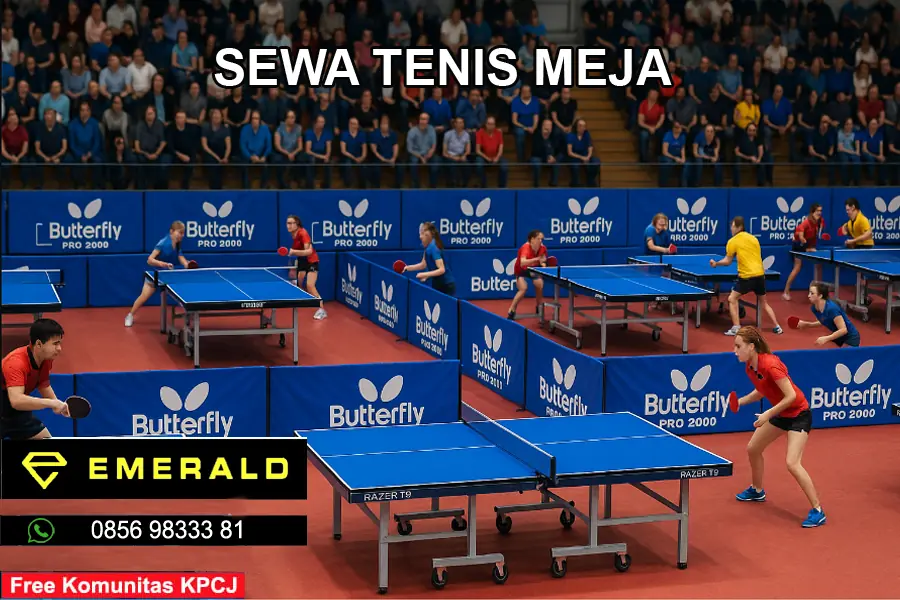 Rental sewa tenis meja pingpong murah