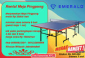 Rental sewa tenis meja pingpong murah