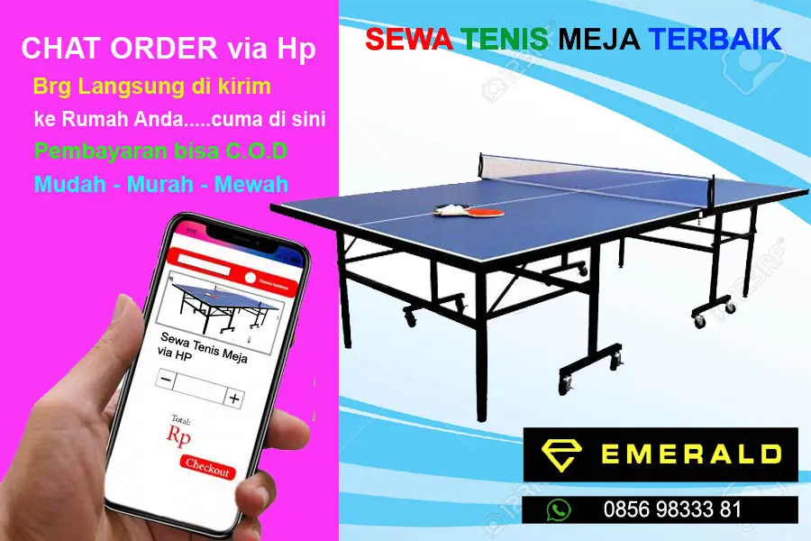 Rental sewa tenis meja pingpong murah