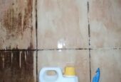 Toilet Cleaner