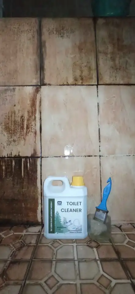 Toilet Cleaner