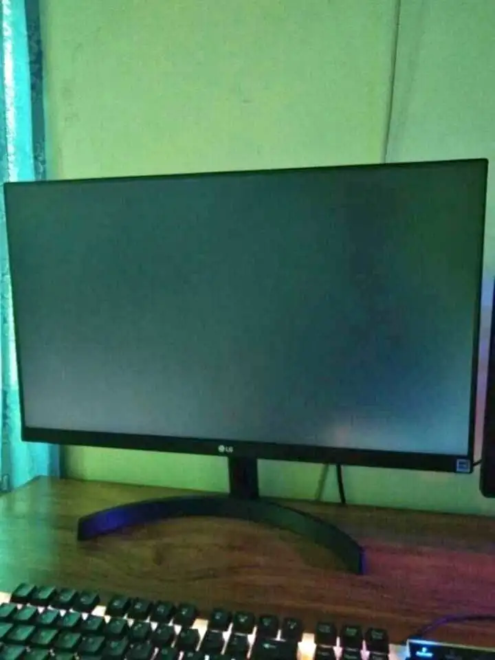 Monitor LG 24in