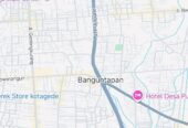 Kos kosan putri, kos wanita, persewaan, kontrakan, kos,