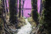 Aquascape tema hutan fullset