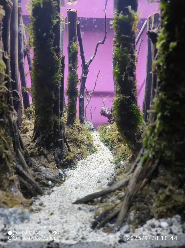 Aquascape tema hutan fullset