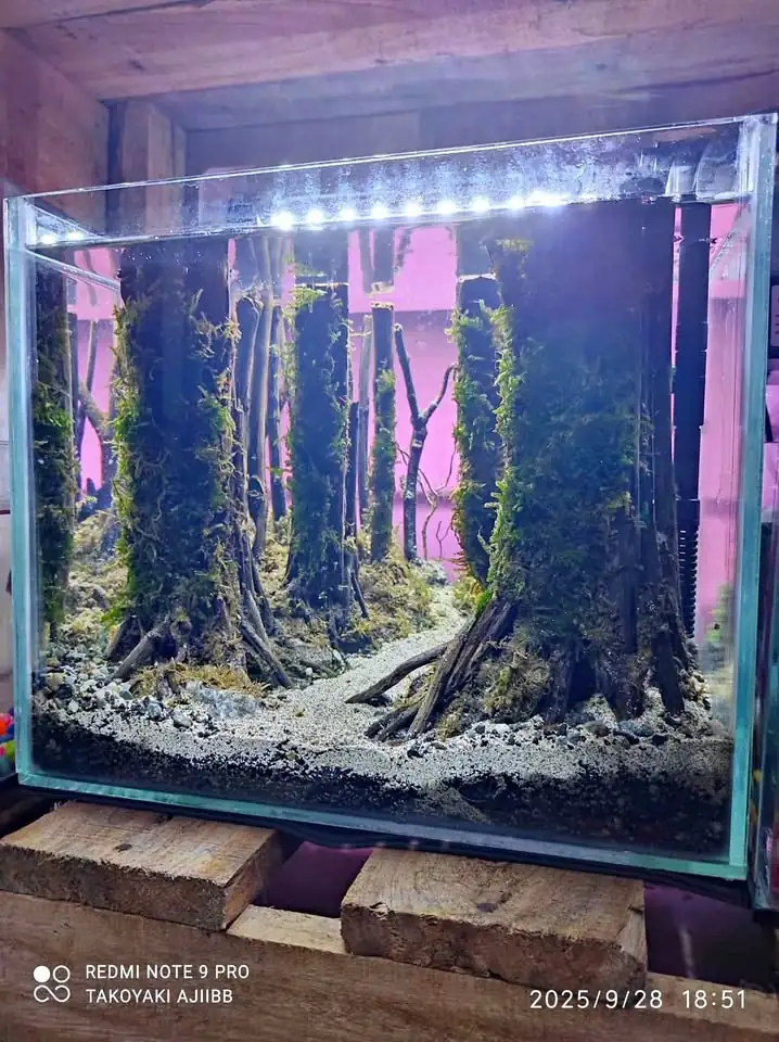 Aquascape tema hutan fullset