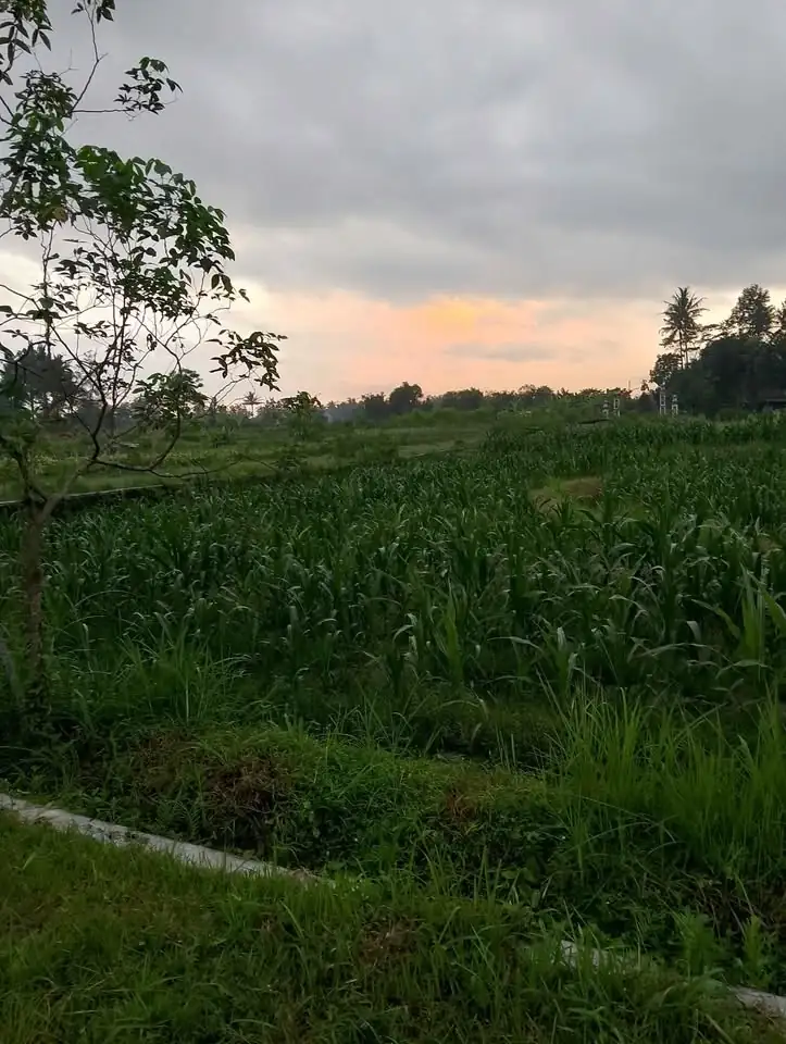Disewakan kos2an 6 unit kamar mandi dalam