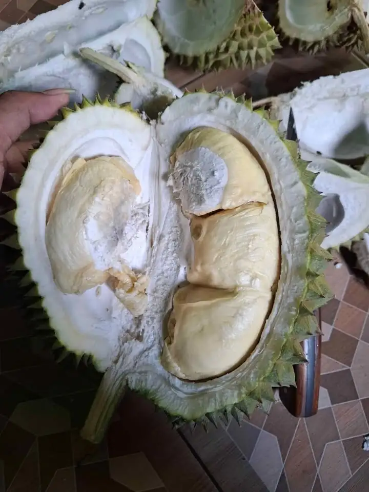 Durian lokal