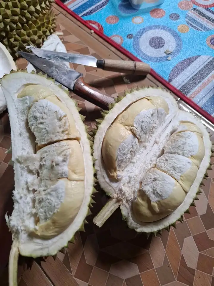 Durian lokal