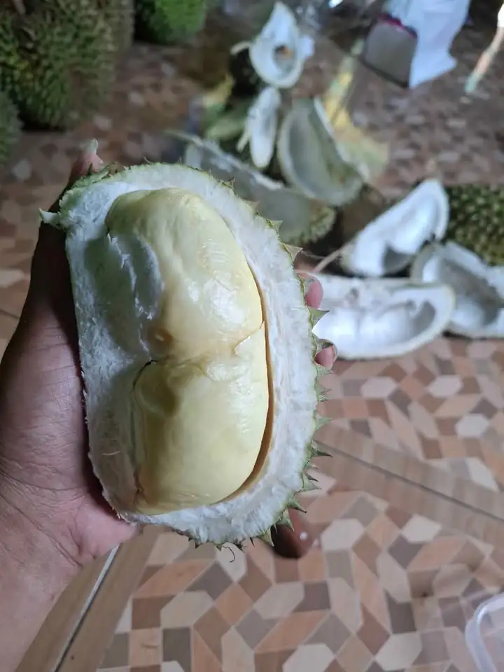 Durian lokal
