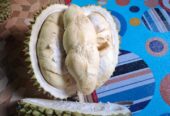 Durian lokal