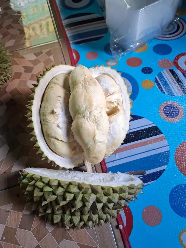 Durian lokal