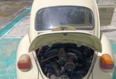 1955 Volkswagen VW Kodok
