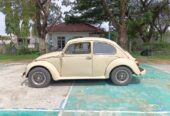 1955 Volkswagen VW Kodok