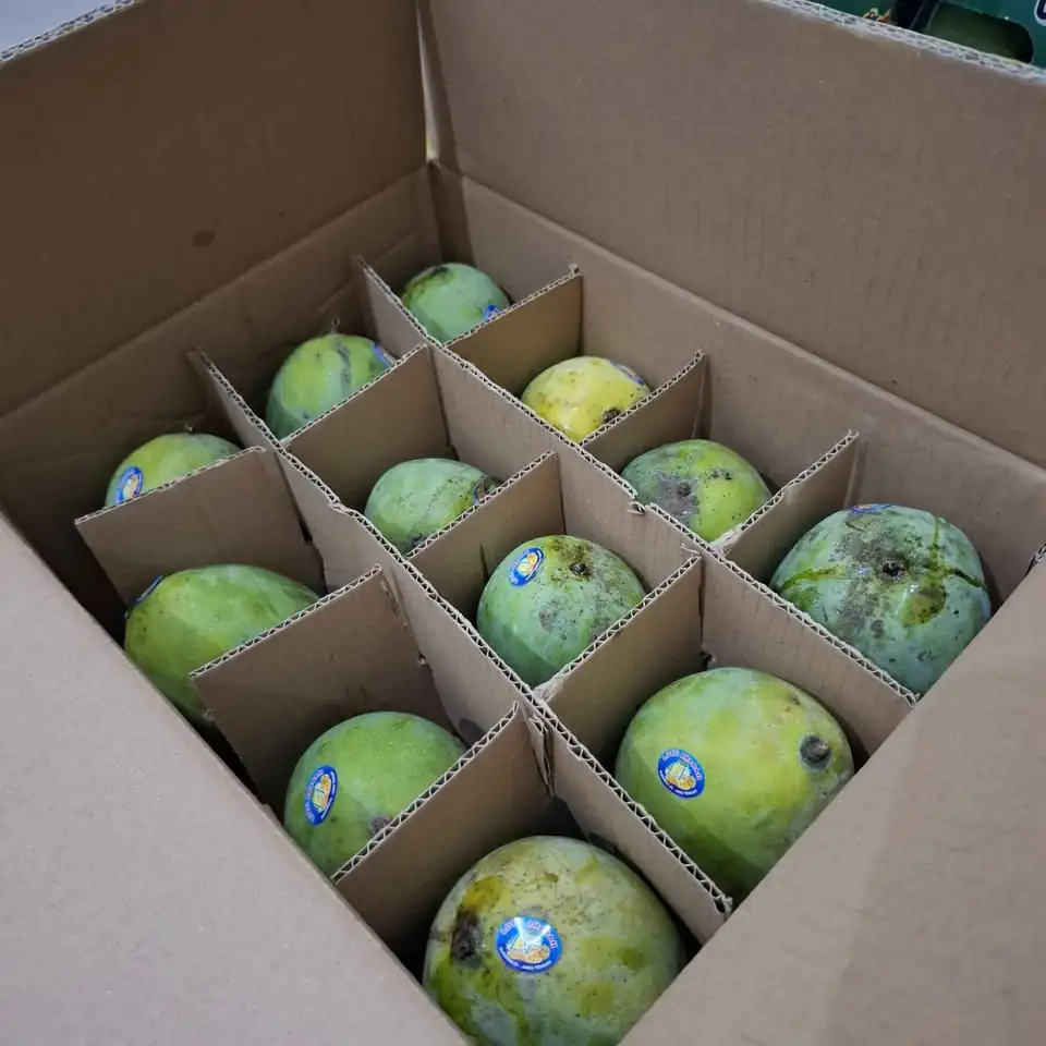 Mangga alpukat 1 karton isi 5kg