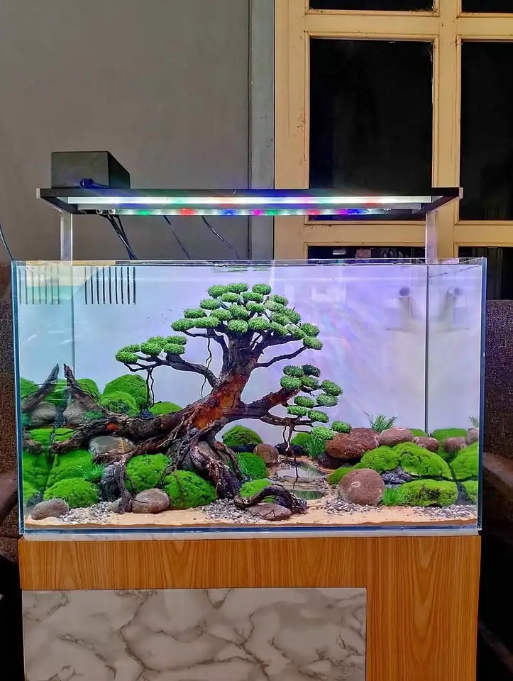Aquascape baru ukuran 60x35x35