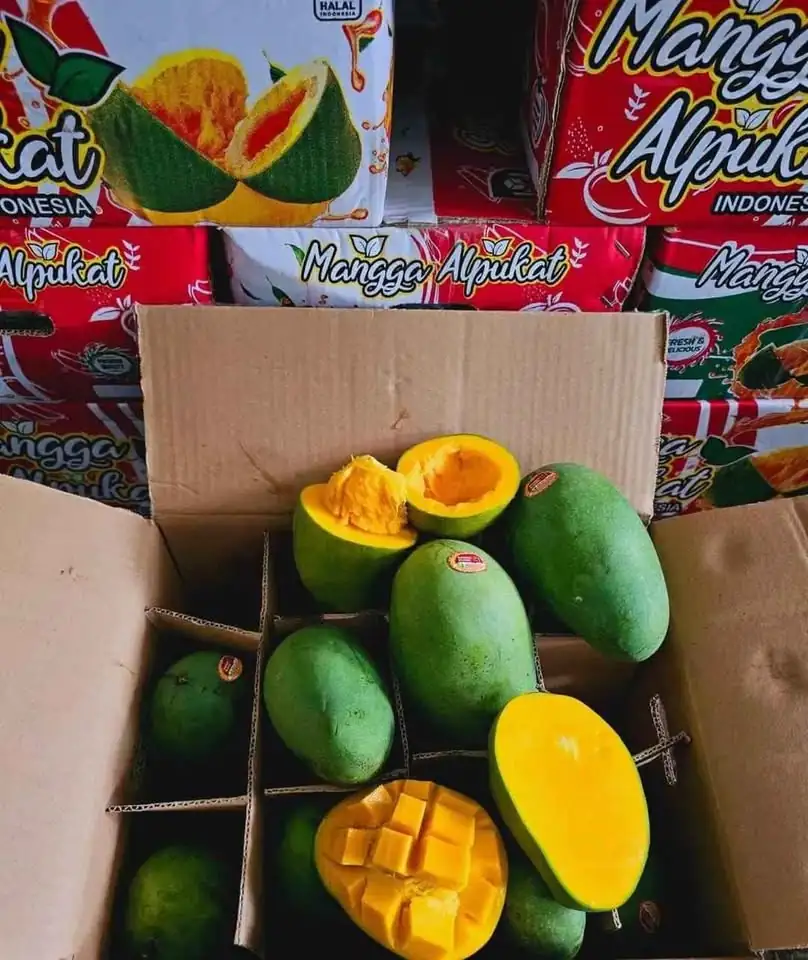 Mangga alpukat 1 karton isi 5kg