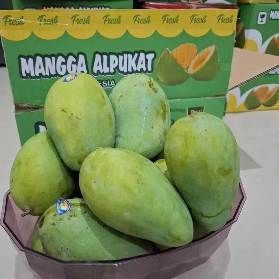 Mangga alpukat 1 karton isi 5kg