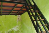 Mezzanine / Kamar Tingkat