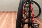 ELEMENT ROADBIKE FCR 38 WARNA RED GREY