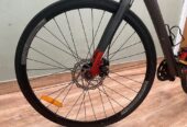 ELEMENT ROADBIKE FCR 38 WARNA RED GREY