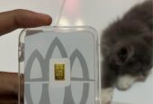 Fine Gold 999,9 (Emas) ANTAM 2025