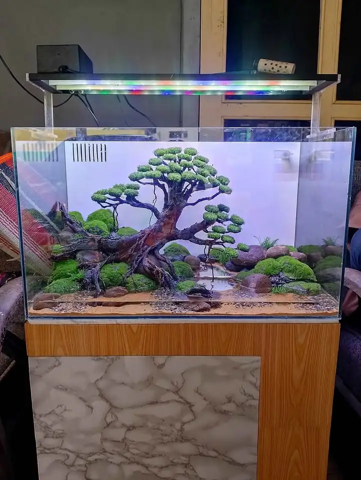 Aquascape baru ukuran 60x35x35
