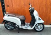 Honda Scoopy stylish 2019