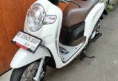 Honda Scoopy stylish 2019