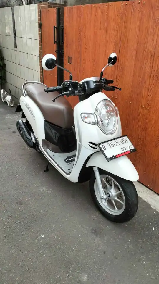 Honda Scoopy stylish 2019