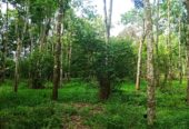 BU Jual Murah Tanah Strategis Di Sumatera Selatan. Palembang