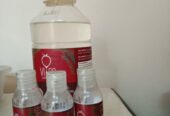 Jual Borongan Minyak Virgin Coconut Oil VCO Vico Bagoes