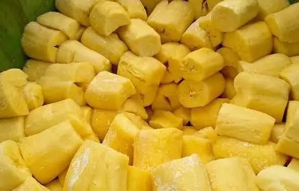 Makanan tradisional Tape singkong mentega