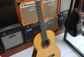 Gitar Classic Yamaha C-315 Original