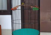 Burung Sogon dan sangkar lovebird radja