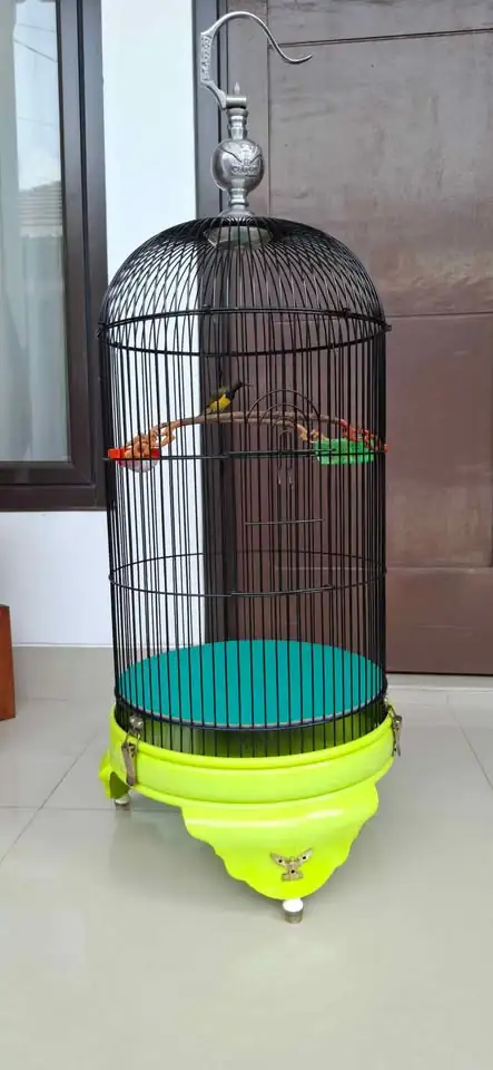 Burung Sogon dan sangkar lovebird radja