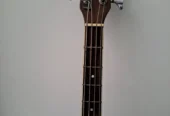Bass Akustik/Elektrik MAXWOOD