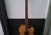 Bass Akustik/Elektrik MAXWOOD