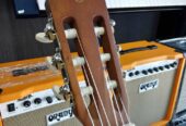 Gitar Classic Yamaha C-315 Original