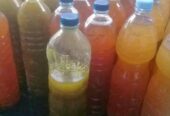 Jual macam2 jamu tradisional