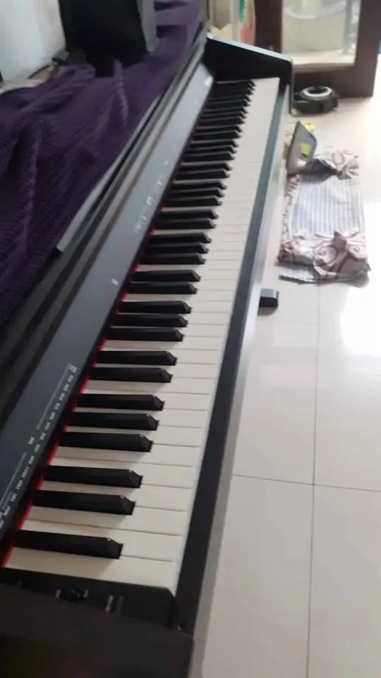 Piano Digital Roland Rp30 like new 99% good condition.
