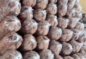 Dijual Gula Jawa Murah Berkualitas