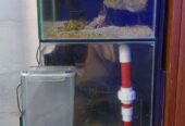 Aquarium air laut
