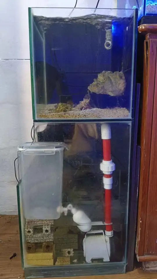 Aquarium air laut