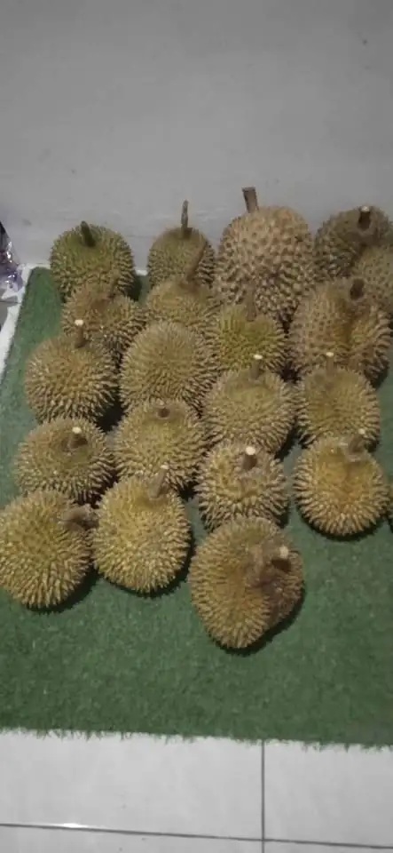 Durian Lokal Manis Mulai 55k