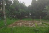 For sale : tanah darat lokasi Pamulang bambu Apus
