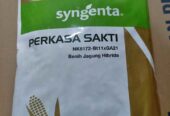 NK Perkasa Sakti 1kg – Benih jagung merk syngenta