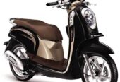 Sewa Motor Bali Free helm