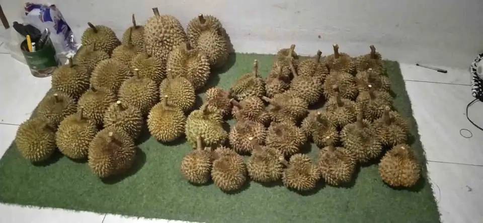 Durian Lokal Manis Mulai 55k